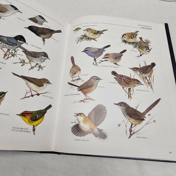The Illustrated Encyclopedia BIRDS World DR Christopher Perrins History Book 90s - Picture 14 of 16
